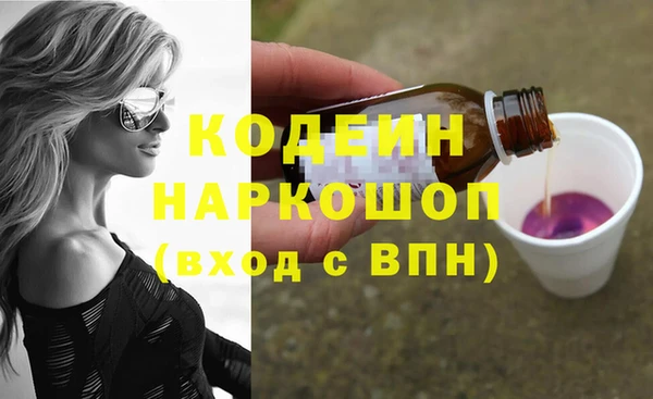 прущие грибы Балахна