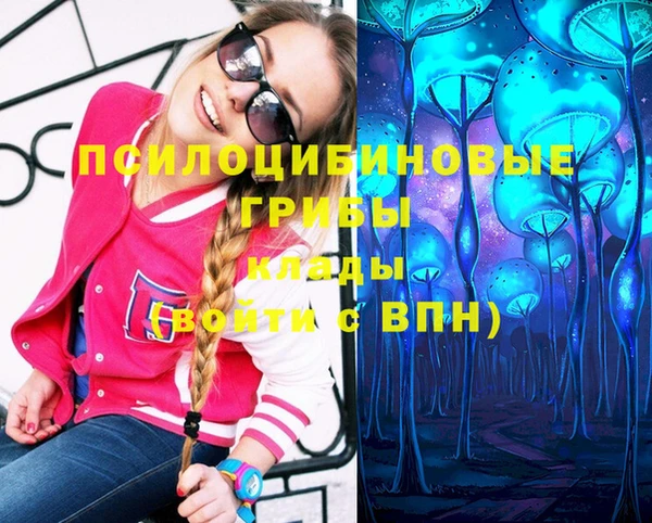 прущие грибы Балахна