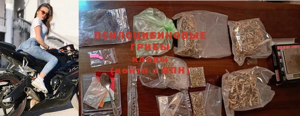 прущие грибы Балахна