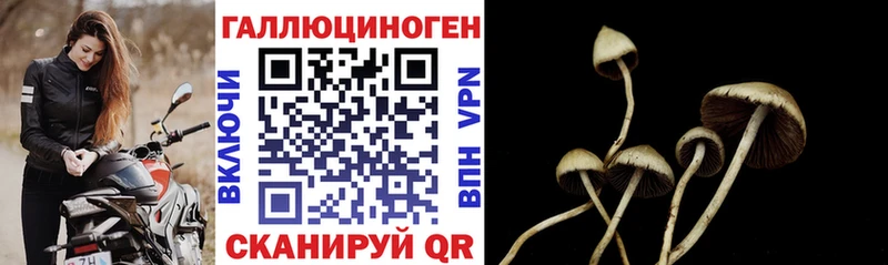 что такое   ссылка на мегу ссылки  Галлюциногенные грибы Psilocybe  Кулебаки 